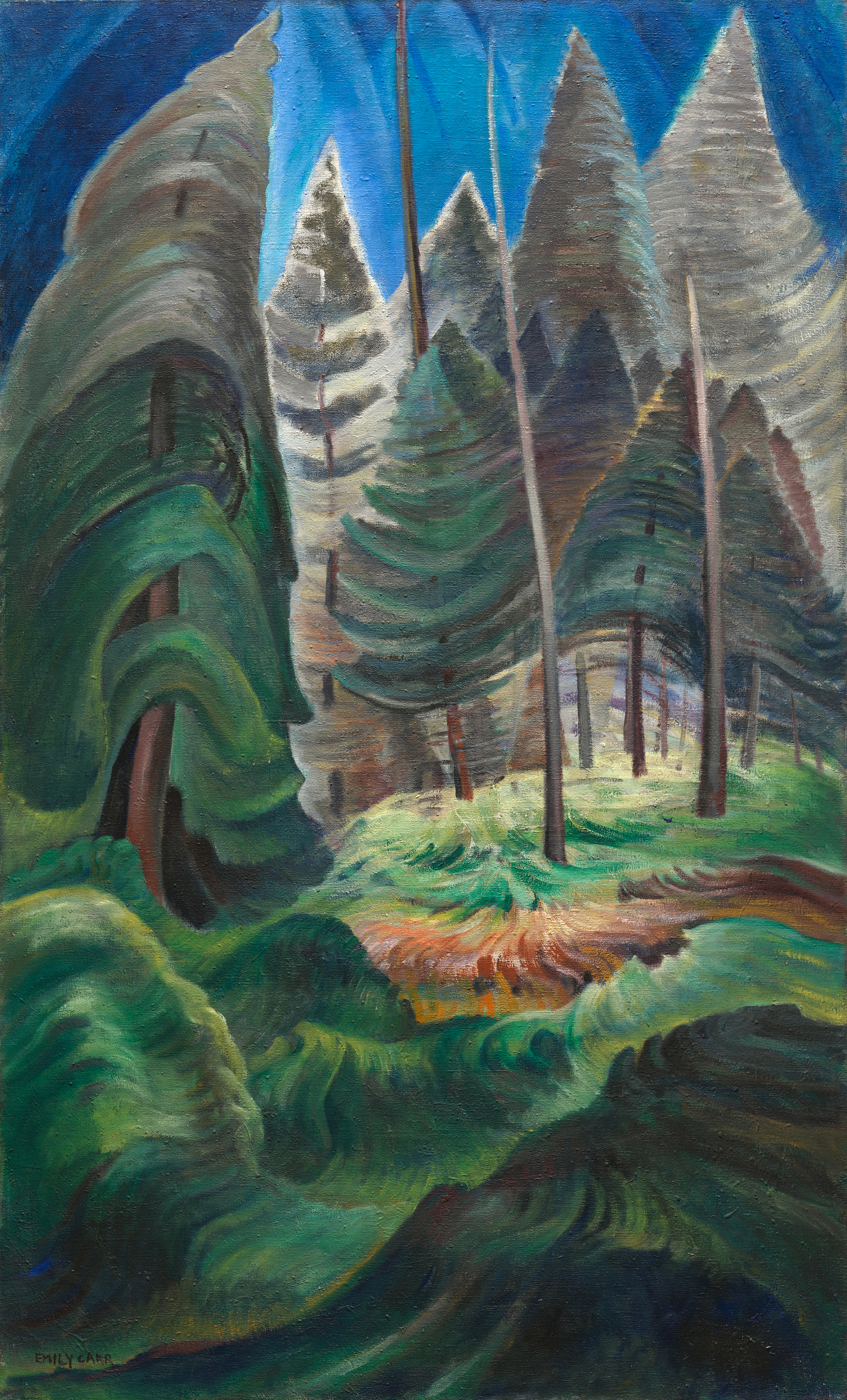 Forest scene with low waves of vegetation in the foreground, a clearing in the the centre and taller conifers in the background.